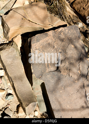 Wadi près de village de Ait Ouabelli où il y a un site d'art rupestre préhistorique, sur la route entre Akka et Icht au Maroc Banque D'Images