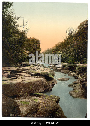Le Strid, un tronçon de rivière renommé près de Bolton Abbey en Angleterre, est représenté sur cette photo de paysage. Connu pour ses courants dangereux et ses rochers, le Strid est un élément naturel célèbre, représentant la puissance de la nature dans les Yorkshire Dales. Banque D'Images