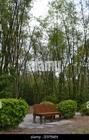 Jardin de pierres japonais Banque D'Images