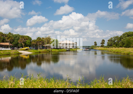 Myakka River State Park à Sarasota en Floride Banque D'Images