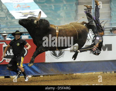 1 avril 2013 - Fort Mohave, AZ, USA - 25 mars 2013 - Fort Mohave, AZ, USA - Mar 24, 2013 ; Fort Mohave, AZ, USA ; ''Légende corrigée'' l'érythroblastopénie Xtreme bull rider Beau Schroeder de Chine, Texas vole dans l'air après avoir été s'éteint de nuit se déplace au cours de la Classique Taureaux Fort Mohave Xtreme à Mohave Crossing Event Center à Fort Mohave, AZ. Schroeder a dû être transporté par avion à un hôpital de Las Vegas après avoir subi deux poumons effondrés et une trachée déchirée après avoir résisté au large de déplacements la nuit. La chirurgie pour réparer la trachée a été effectué, ce qui nuit à l'University Medical Center. Schroe Banque D'Images