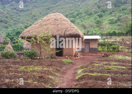 Accueil typiquement africaine au Cameroun hutte près de Bamenda. Banque D'Images