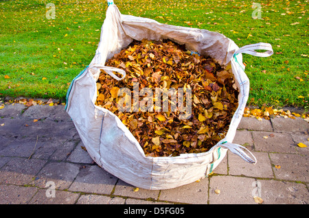 Grand sac avec l'automne les feuilles sèches dans la région de city park Banque D'Images