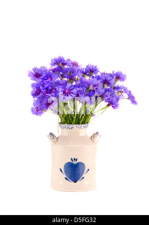 Bouquet de bleuets bleu en céramique vase isolé sur fond blanc Banque D'Images