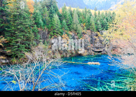 Lac de couleur à jiuzhaigou, Chine Banque D'Images