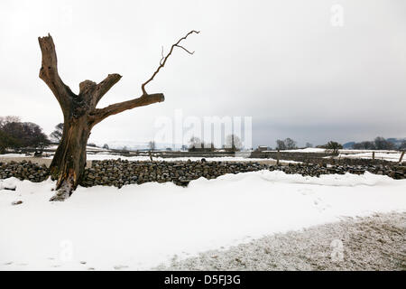 Le Yorkshire, UK. 1er avril 2013. La neige dominent toujours le paysage des Yorkshire Dales. Les champs sont encore peu praticable dans les lieux en raison de la neige est poussée jusqu'à un côté qui commence à se détacher et tomber dans le road Crédit : Paul Thompson/Alamy Live News Banque D'Images