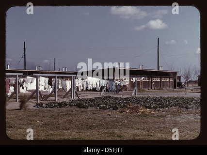 Corde à la communauté, FSA ... camp, Robstown, Texas (LOC) Banque D'Images