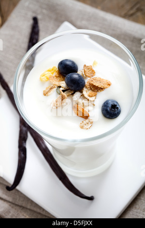 Yogourt à la vanille avec du muesli et des bleuets frais Banque D'Images