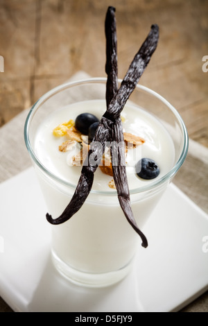 Yogourt à la vanille avec du muesli et des bleuets frais Banque D'Images