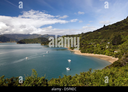 Portage Bay, Marlborough Sounds, île du Sud, Nouvelle-Zélande. Queen Charlotte Track. La mer de Tasman. Banque D'Images