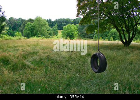 Vieux swing fait avec une roue suspendue à un arbre. Banque D'Images