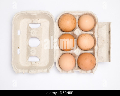 Six oeufs brun recyclé en boîte à œufs isolé sur fond blanc Banque D'Images