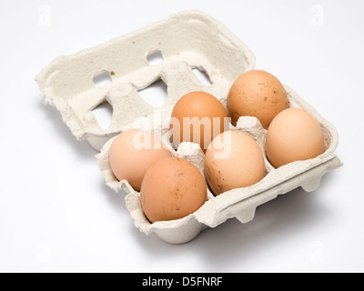 Six oeufs brun recyclé en boîte à œufs isolé sur fond blanc Banque D'Images