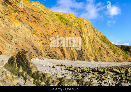 Warren Falaise à Hartland Quay, Devon, Angleterre. Banque D'Images