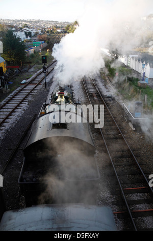 Train à vapeur à Paignton Devon, Angleterre, royaume-uni Banque D'Images