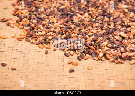 Tas de fèves de cacao non pelées brut sur tapis avec profondeur de champ Banque D'Images