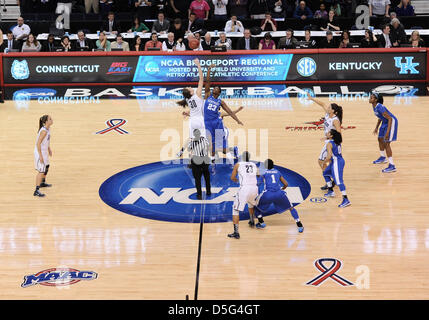 1 avril 2013 - Bridgeport, CT, USA - Lundi 1 Avril 2013 : la pointe de l'ouverture de tournoi de basket-ball de NCAA Womens, Bridgeport final régional match entre New York vs New York à Webster Bank Arena à Bridgeport, CT. Bill Shettle / Cal Sport Media. Banque D'Images