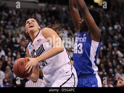 1 avril 2013 - Bridgeport, CT, USA - Lundi 1 Avril 2013 : au cours de la 1ère moitié du tournoi de basket-ball de NCAA Womens, Bridgeport final régional match entre New York vs New York à Webster Bank Arena à Bridgeport, CT. Bill Shettle / Cal Sport Media. Banque D'Images