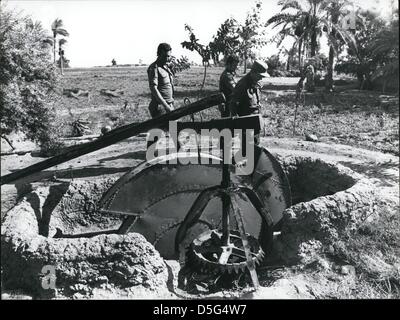 Jun 08, 1967 - La Guerre des Six Jours, les conflits armés en juin 1967 entre Israël et les états arabes de l'Égypte, la Jordanie et la Syrie. En six jours, Israël a conquis la péninsule du Sinaï, la bande de Gaza, Cisjordanie, et les hauteurs du Golan, qui est devenu connus collectivement sous le nom de territoires occupés. Israël et ses voisins arabes avaient été hostiles l'un envers l'autre depuis 1948, quand Israël est devenu une nation dans une zone que les Arabes palestiniens revendiquent comme leur patrie. Après qu'Israël a déclaré son indépendance, plusieurs États arabes et des groupes palestiniens, Israël a immédiatement voulu seulement d'être repoussés. La Guerre des Six jours a été considéré comme Banque D'Images