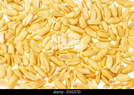 Les écrous de pois sur fond blanc Banque D'Images