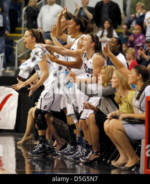 1 avril 2013 - Bridgeport, CT, USA - Le Connecticut Huskies banc réagit à la dernière secondes qu'ils ont défait l'Université du Kentucky dans le basket finales régionales dans la région de Webster Bank Arena à Bridgeport Ct., Lundi, Avril 01, 2013. C'est seconde moitié action. UConn a gagné 83-53. Photo par Charles Bertram | Personnel. (Crédit Image : © Lexington Herald-Leader/ZUMAPRESS.com) Banque D'Images