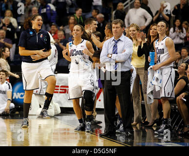 1 avril 2013 - Bridgeport, CT, USA - Le banc de UConn a réagi au cours des secondes qu'ils ont défait l'Université du Kentucky dans le basket finales régionales dans la région de Webster Bank Arena à Bridgeport Ct., Lundi, Avril 01, 2013. C'est seconde moitié action. UConn a gagné 83-53. Photo par Charles Bertram | Personnel. (Crédit Image : © Lexington Herald-Leader/ZUMAPRESS.com) Banque D'Images