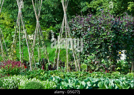 Jardin potager. Banque D'Images
