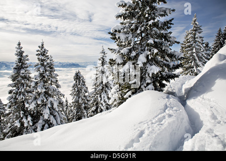 Pendling point sur la montagne Schneeberg dans Alpes, près de Thiersee à Kufstein en Autriche, en Europe. Banque D'Images