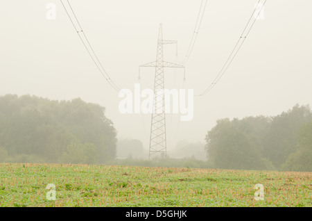 Vue de l'agriculture et de l'électricité haute tension fil pôle dans le brouillard du matin. Banque D'Images