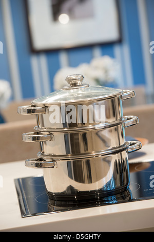 Bateau à vapeur en acier inoxydable sur une plaque de cuisson dans une cuisine moderne. Banque D'Images