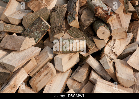 Une pile de grumes de bois prêt à être brûlé, juste d'être livré et split. Banque D'Images