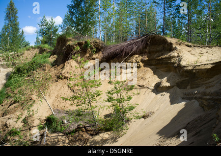 De l'érosion à Sandy Ridge , Finlande Banque D'Images