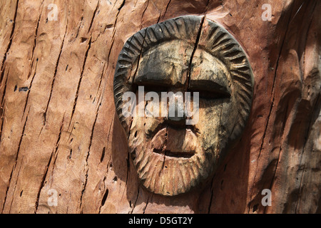 Yurabirong. Détail sculpté d'une gomme rouge de la forêt dans les jardins botaniques de Sydney Banque D'Images