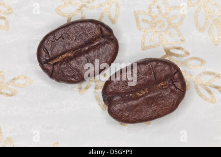 proche de studio nature morte de 2 grains de café Banque D'Images