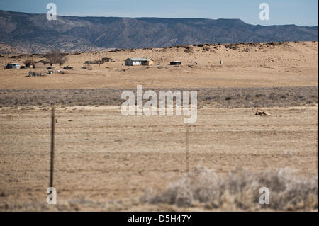 28 mars 2013 - Navaho, Nouveau Mexique, États-Unis - un ranch Navajo se situe sur les plaines de près de Navajo, N.M. Les éleveurs et les agriculteurs sur la réservation sont aux prises avec des problèmes d'accès à l'eau. Environ 40 pour cent des personnes vivant sur la réserve n'ont pas accès à l'eau courante pour eux-mêmes, encore moins de leurs cultures et l'élevage. (Crédit Image : ©/ZUMAPRESS.com) s Seberger Banque D'Images