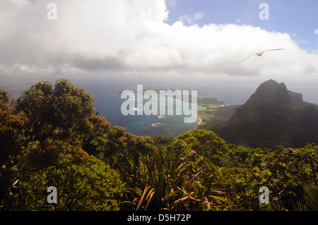 Vue du sommet du Mont Gower au-dessus du Mont Lidgbird et Lord Howe Island, avec la providence des pétrels. NSW, Australie Banque D'Images