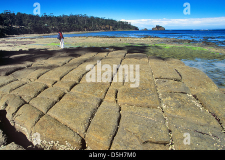 L'Australie, le sud-est de la Tasmanie, Forestier, on Pavement Banque D'Images