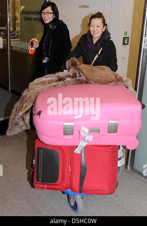 L'actrice chinoise Yu Nan (L) photographié à son arrivée à Berlin, Allemagne, 09 février 2010. Yu Nan fera partie du jury du 60e Festival International du Film de Berlin qui se déroule du 11 au 21 février 2010. Photo : SOEREN STACHE Banque D'Images