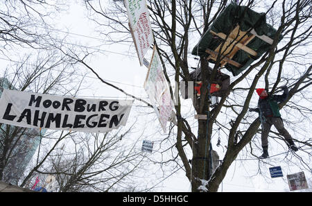 Un activiste environnemental de l'organisation 'Robin des Bois' grimpe un arbre à Hambourg, Allemagne, 10 février 2010. Depuis décembre 2009, des militants de 'Robin des Bois' garder occupé plusieurs arbres pour entraver la couper des arbres pour faire place à une construction de chauffage urbain. Des centaines d'arbres disparaîtraient si le groupe d'énergie Vattenfall a été admis un pipeline de chauffage urbain par les centrales au charbon, POE Banque D'Images