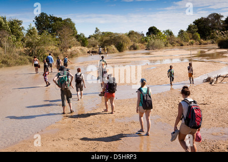 Madagascar, l'exploitation, les étudiants Wallacea crossing Mariarano river sur le sentier d'Matsedroy Banque D'Images