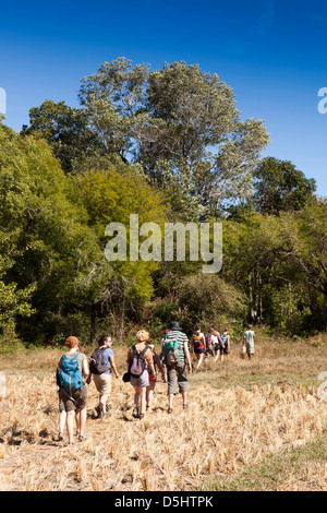 Madagascar, l'exploitation, Wallacea Mariarano, les élèves sur le sentier sur Matsedroy camp d'études sur le terrain Banque D'Images