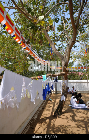 Les drapeaux de prières, Sri Maha Bodhi, Anuradhapura Banque D'Images