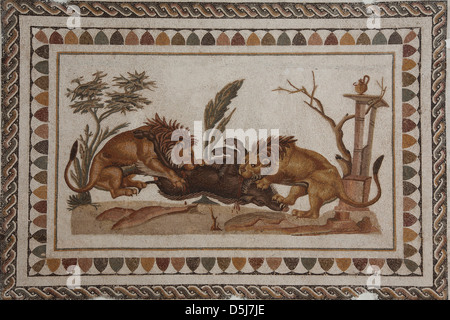 El Djem Mahdia Tunisie voyage tourisme Banque D'Images