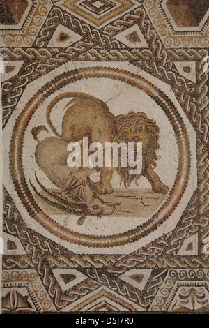 El Djem Mahdia Tunisie voyage tourisme Banque D'Images