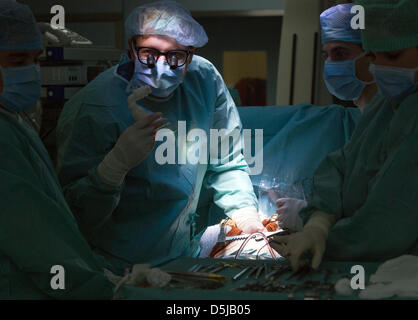 Chirurgien cardiaque Ivan Netuka met une nouvelle pompe sanguine mécanique dans la poitrine du patient à l'Institut de médecine clinique et expérimentale (IKEM) à Prague, République tchèque, le 3 avril 2013. IKEM fête ses dix ans à l'aide de cette méthode. (Photo/CTK Michal Dolezal) Banque D'Images