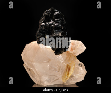 La Wolframite / Hubnerite (tungstate de fer manganèse) sur Jacare matrice de quartz (Brésil) Banque D'Images