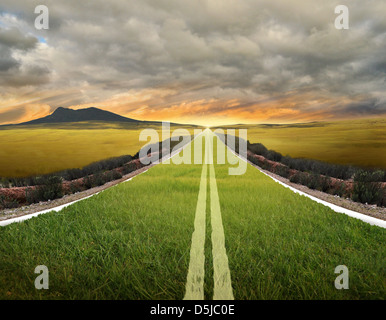 Image d'illustration de l'herbe pousse sur la route représentant rendez-concept vert Banque D'Images