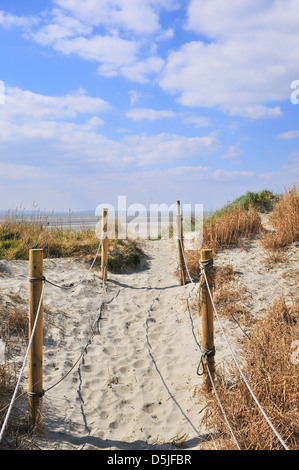 Chemin à travers les dunes de sable jusqu'à West Wittering Beach a Blue Flag Beach à West Wittering, Chichester, West Sussex, Angleterre, Royaume-Uni Banque D'Images