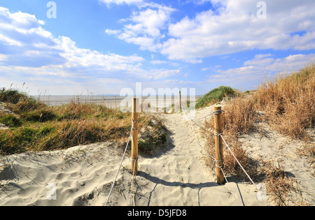 Chemin à travers les dunes de sable jusqu'à West Wittering Beach a Blue Flag Beach à West Wittering, Chichester, West Sussex, Angleterre, Royaume-Uni Banque D'Images