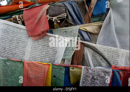 Les drapeaux de prières sur un pont sur l'Indus à Leh, Ladakh, Jammu-et-Cachemire. L'Inde. Banque D'Images